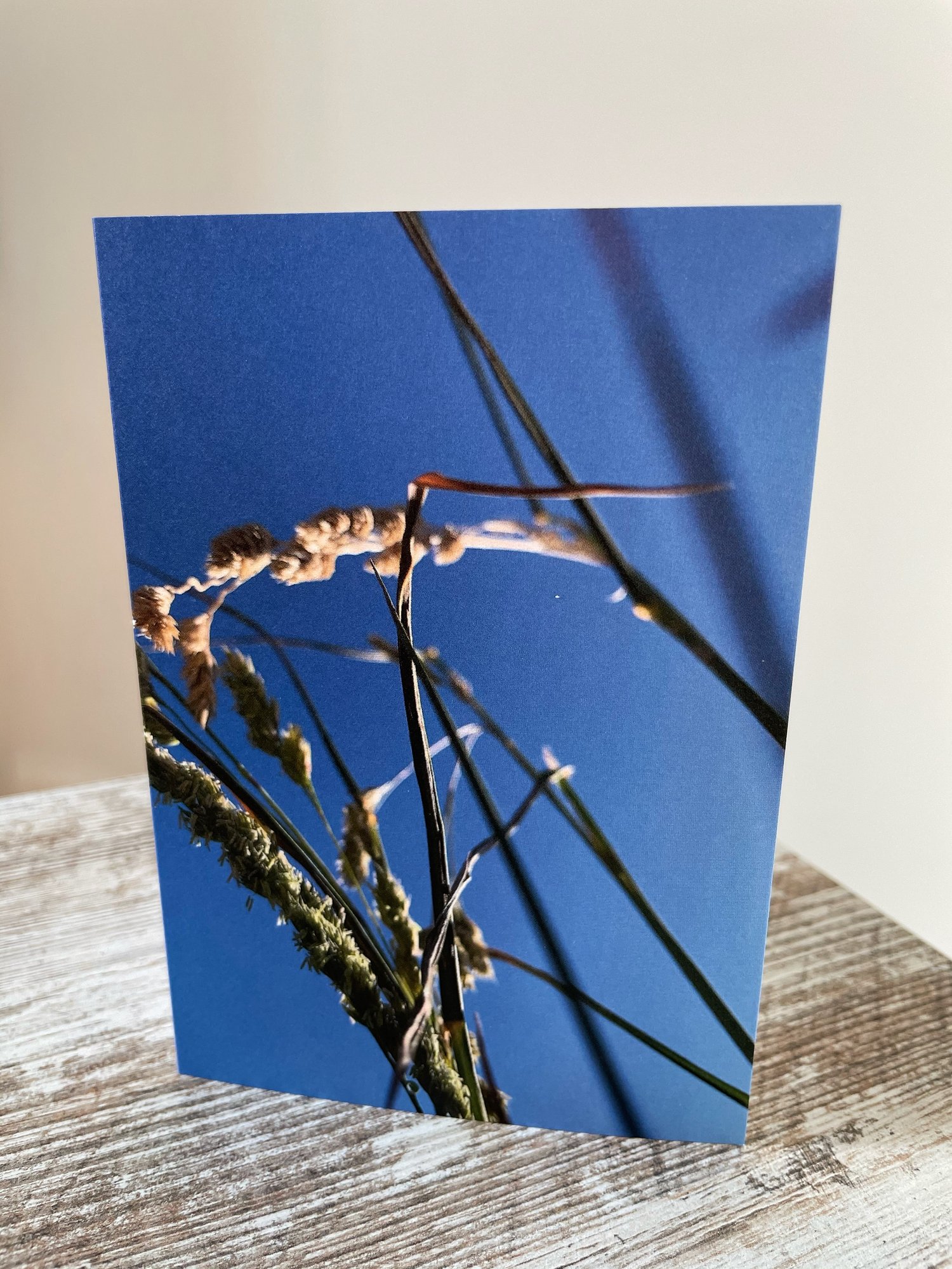 Image of Summer Blue (Greeting Card)