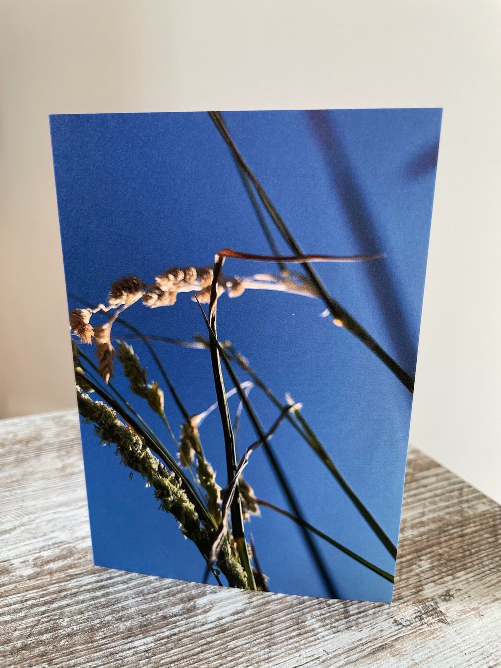 Image of Summer Blue (Greeting Card)