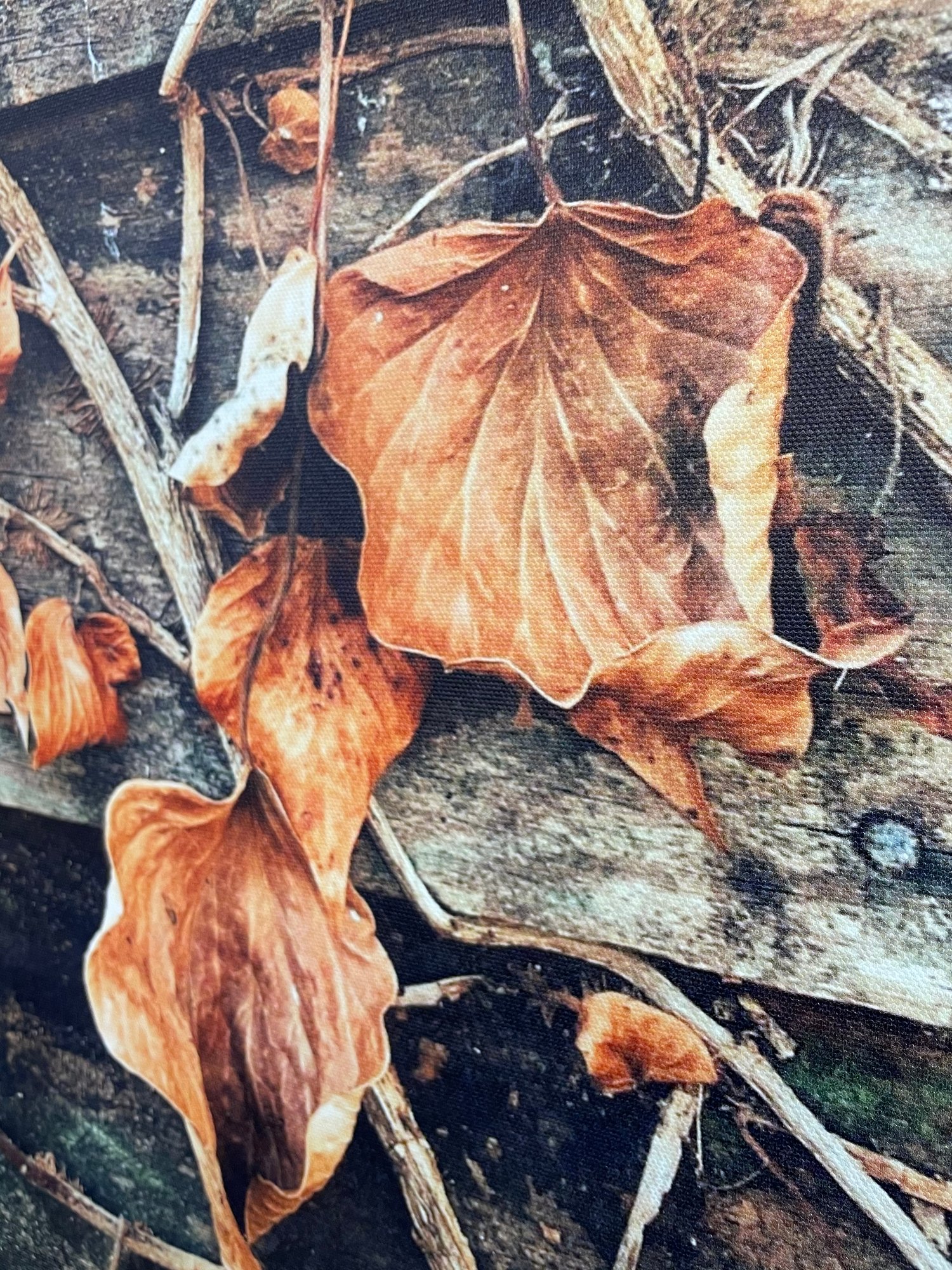 Image of September (30x40)
