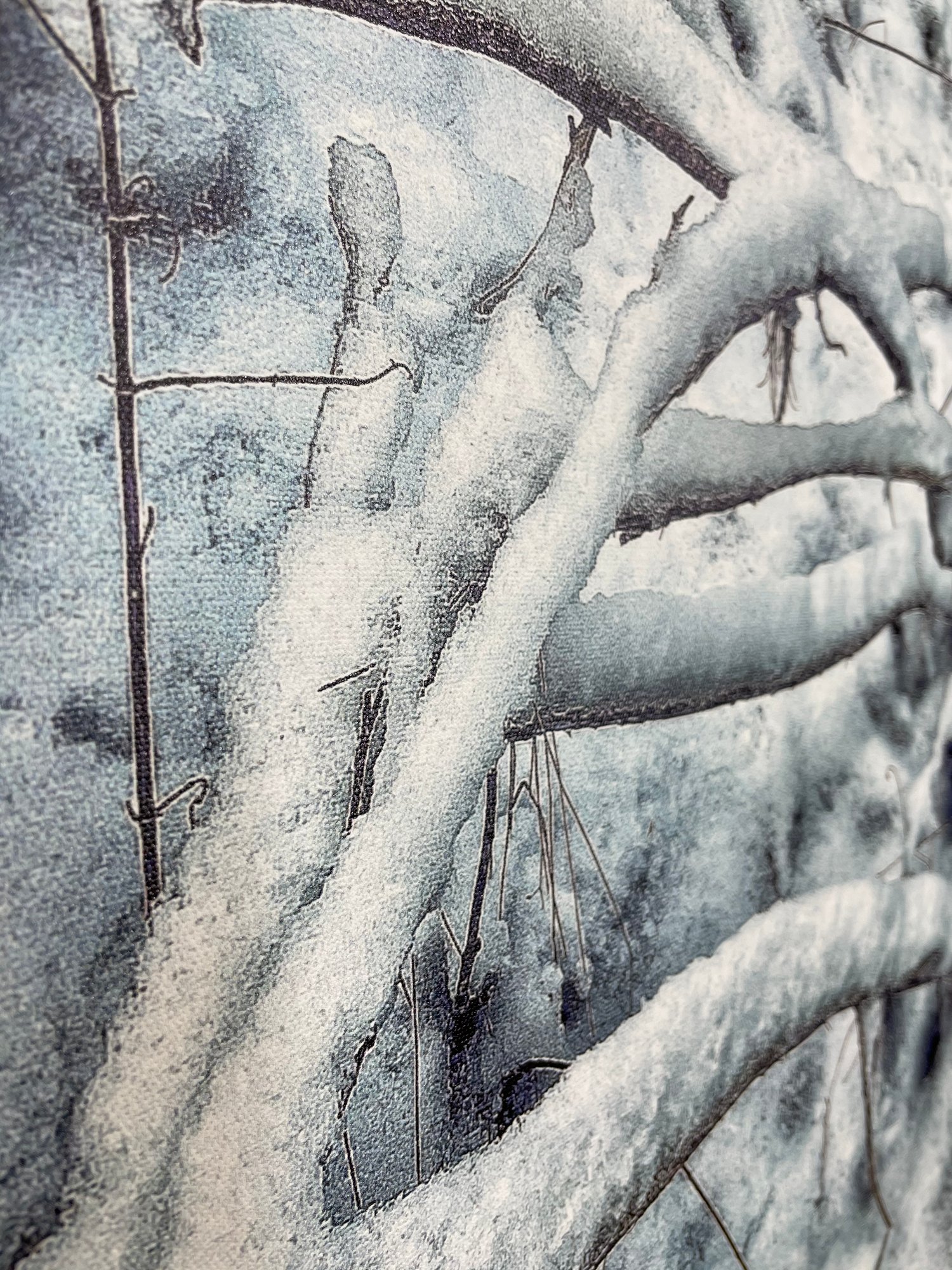 Image of Iced (60x80)