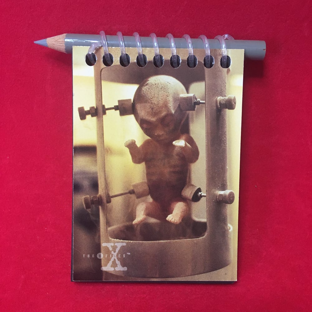 X-Files Mini Notebook