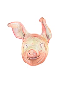 Image 1 of Pig