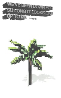 WE'VE BEEN DOWN FOR SO LONG IT LOOKS LIKE UP TO ME: ZINE