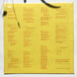 Image of UNIVERSE – NEW DAY LP