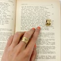 Anello Apollo