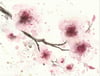 Cherry Blossoms - Adult - Online Workshop