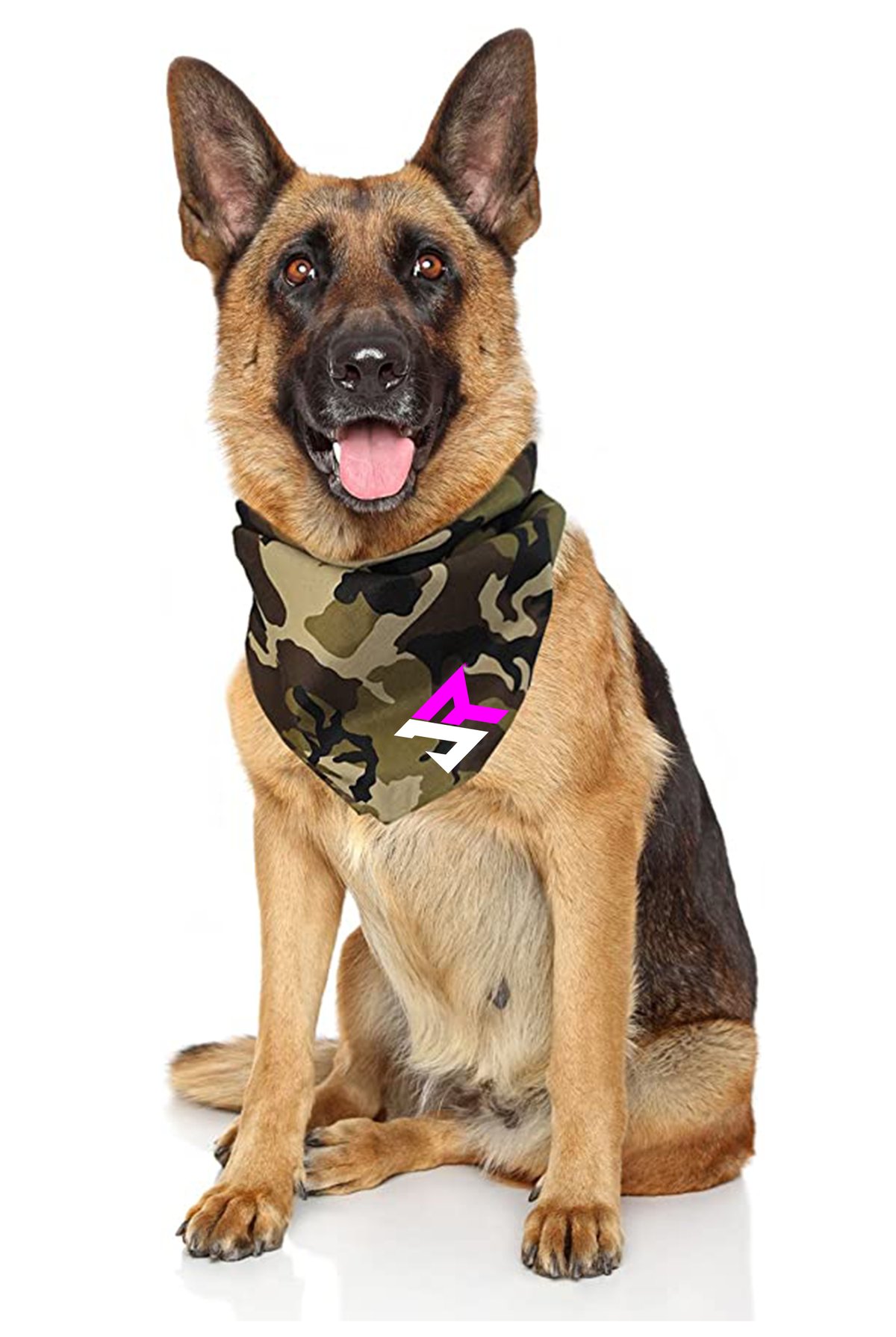 Image of Dog Bandanna