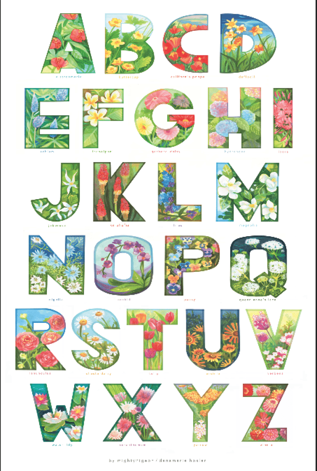 Floral ABC// available as Posters &/or Postcard Sets 