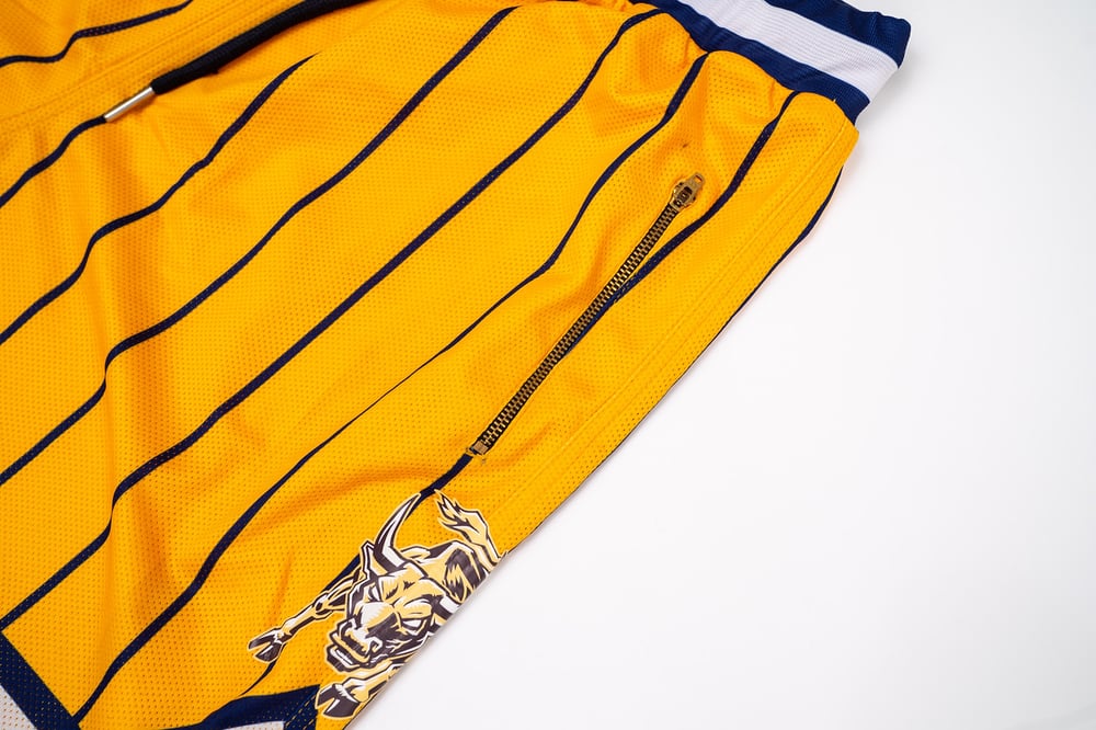 Pinstripe Basketball Shorts