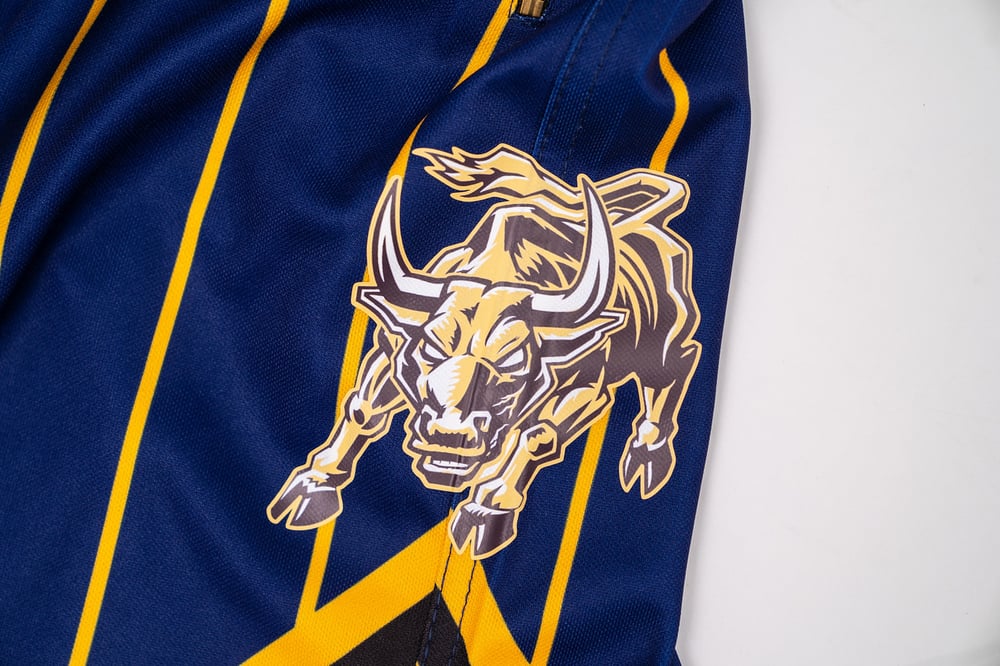 Pinstripe Basketball Shorts