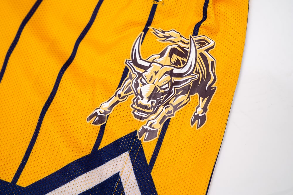Pinstripe Basketball Shorts