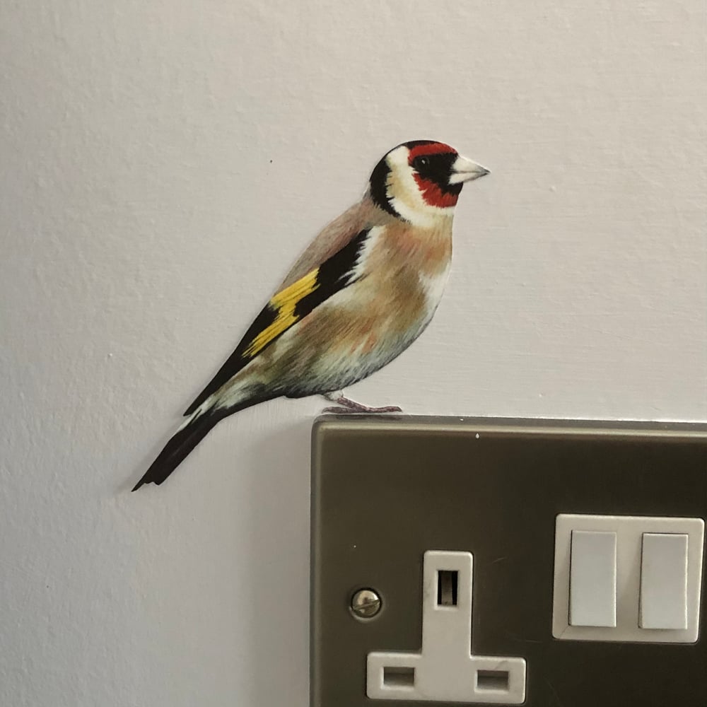 Image of Gertie Goldfinch ~ Removable Wall sticker