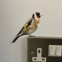 Image 1 of Gertie Goldfinch ~ Removable Wall sticker