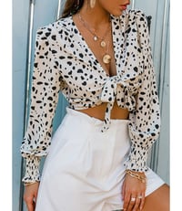 Leopard Print Crop Top Blouse 