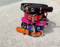 Image 2 of Groovin Dog Collar 