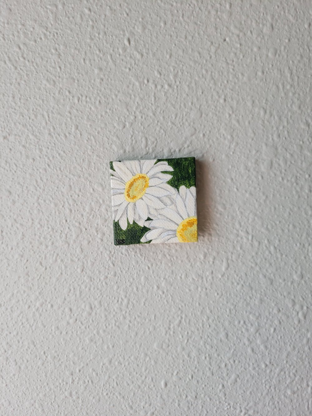 Biltmore Blooms - Daisies 