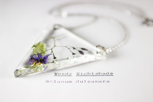 Image of Woody Nightshade (Solanum dulcamara) - Triangular Pressed Pendant #2