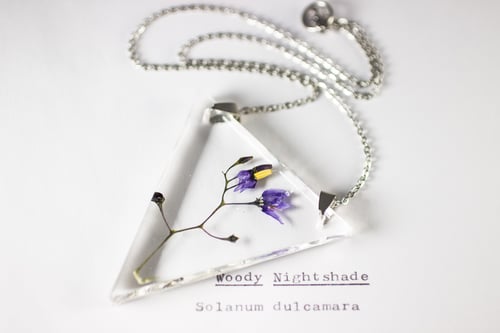 Image of Woody Nightshade (Solanum dulcamara) - Triangular Pressed Pendant #1