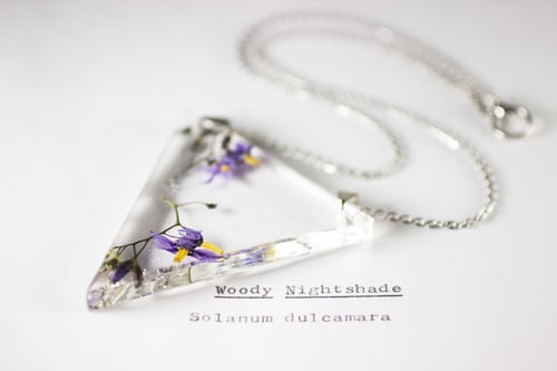 Image of Woody Nightshade (Solanum dulcamara) - Triangular Pressed Pendant #3