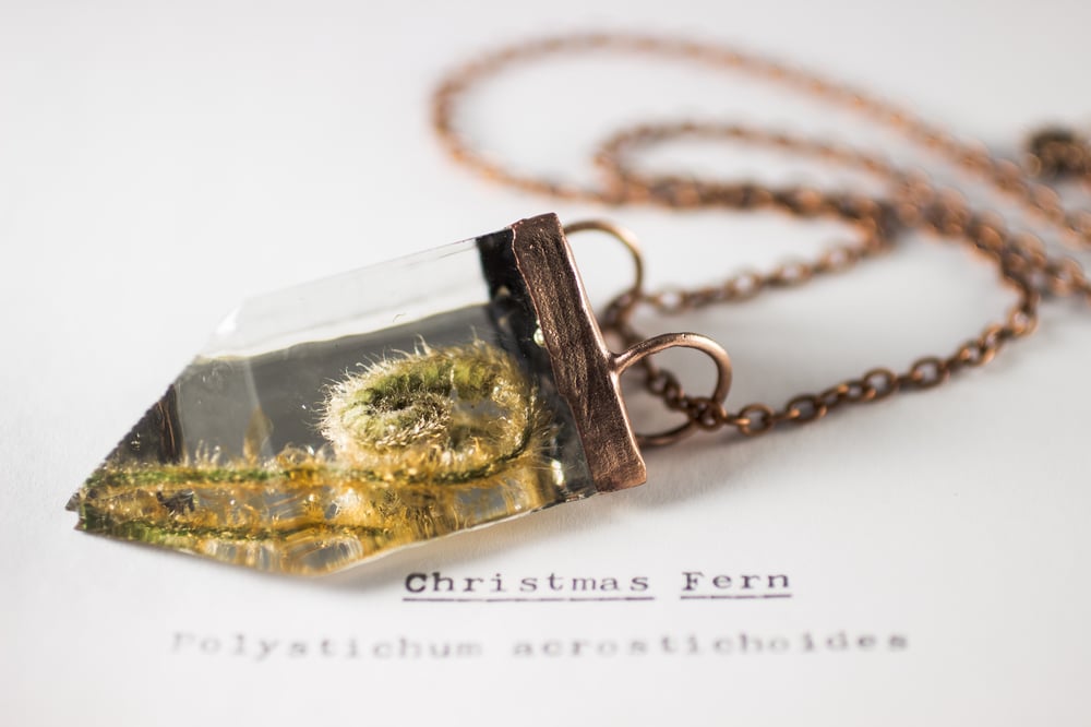 Image of Christmas Fern Fiddlehead (Polystichum acrostichoides) - Small Copper Prism Necklace #1