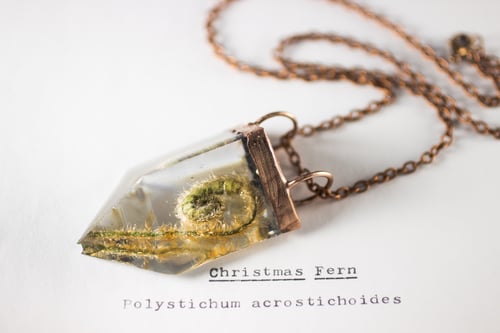 Image of Christmas Fern Fiddlehead (Polystichum acrostichoides) - Small Copper Prism Necklace #1