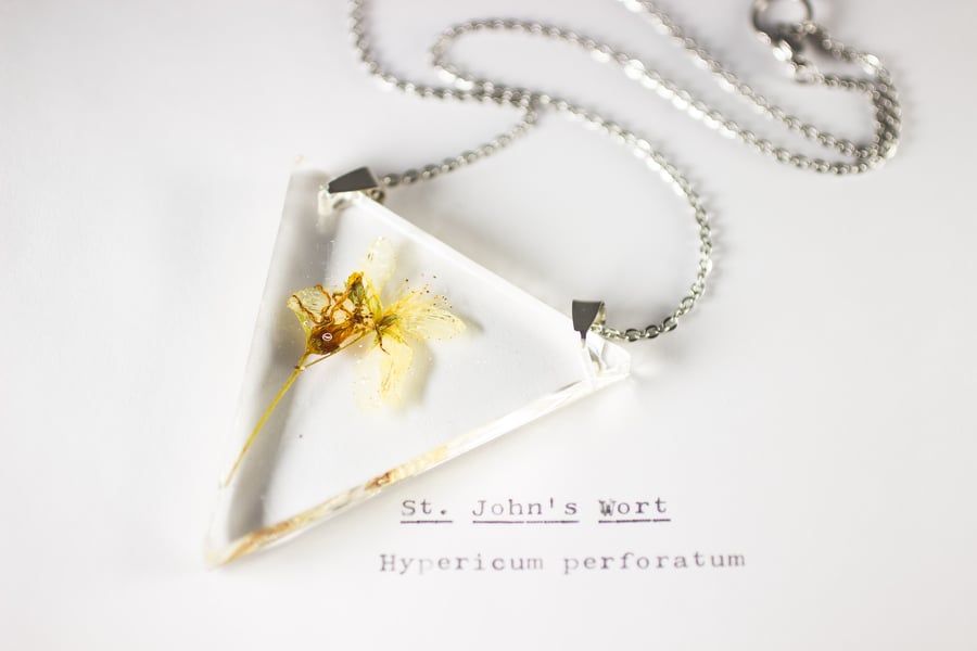 Image of St. John's Wort (Hypericum perforatum) - Triangular Pressed Pendant #1