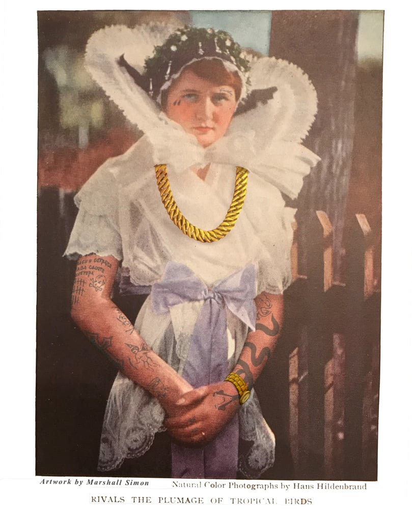 Image of RIVALS THE PLUMAGE OF TROPICAL BIRDS