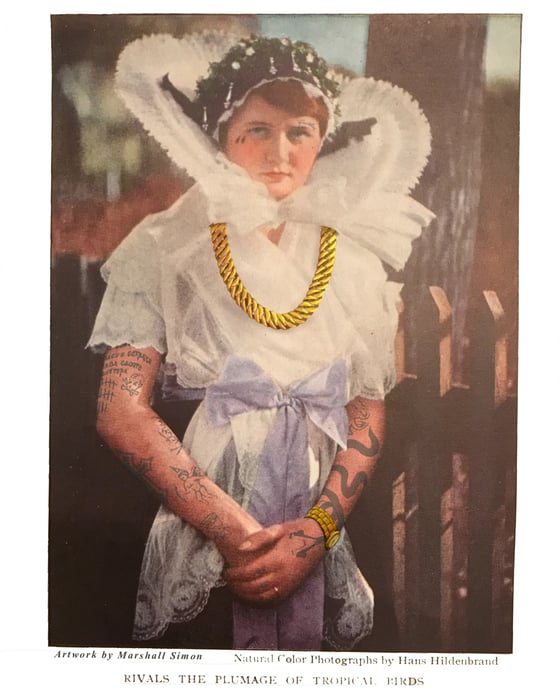 Image of RIVALS THE PLUMAGE OF TROPICAL BIRDS