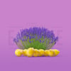 LEMON LAVENDER