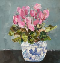 Pink Cyclamen 