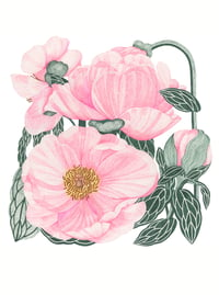 April 2021: peony