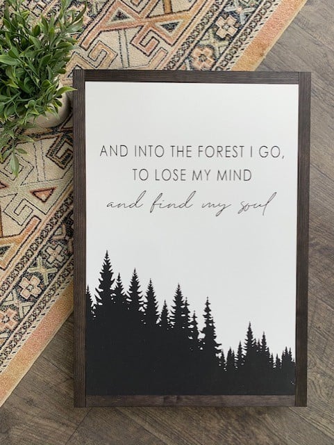 Image of Find My Soul