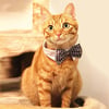Handmade Adjustable Strap Bow tie with FREE collar (click to see other designs) | Bowtie | Wedding
