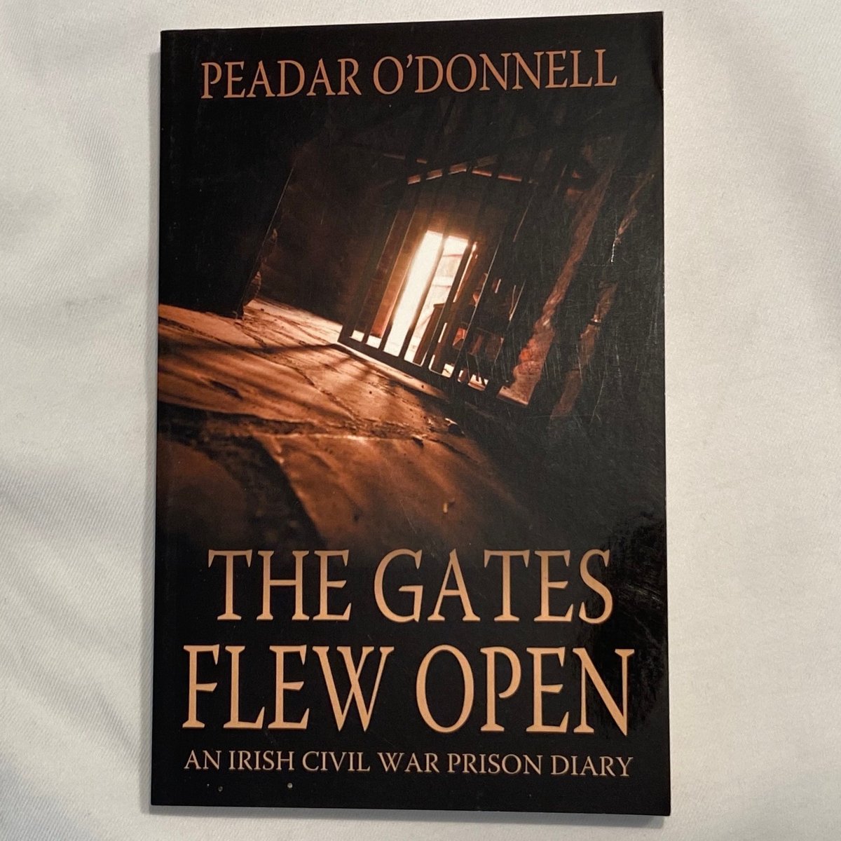 Image of The Gates Flew Open: An Irish Civil War Prison Diary