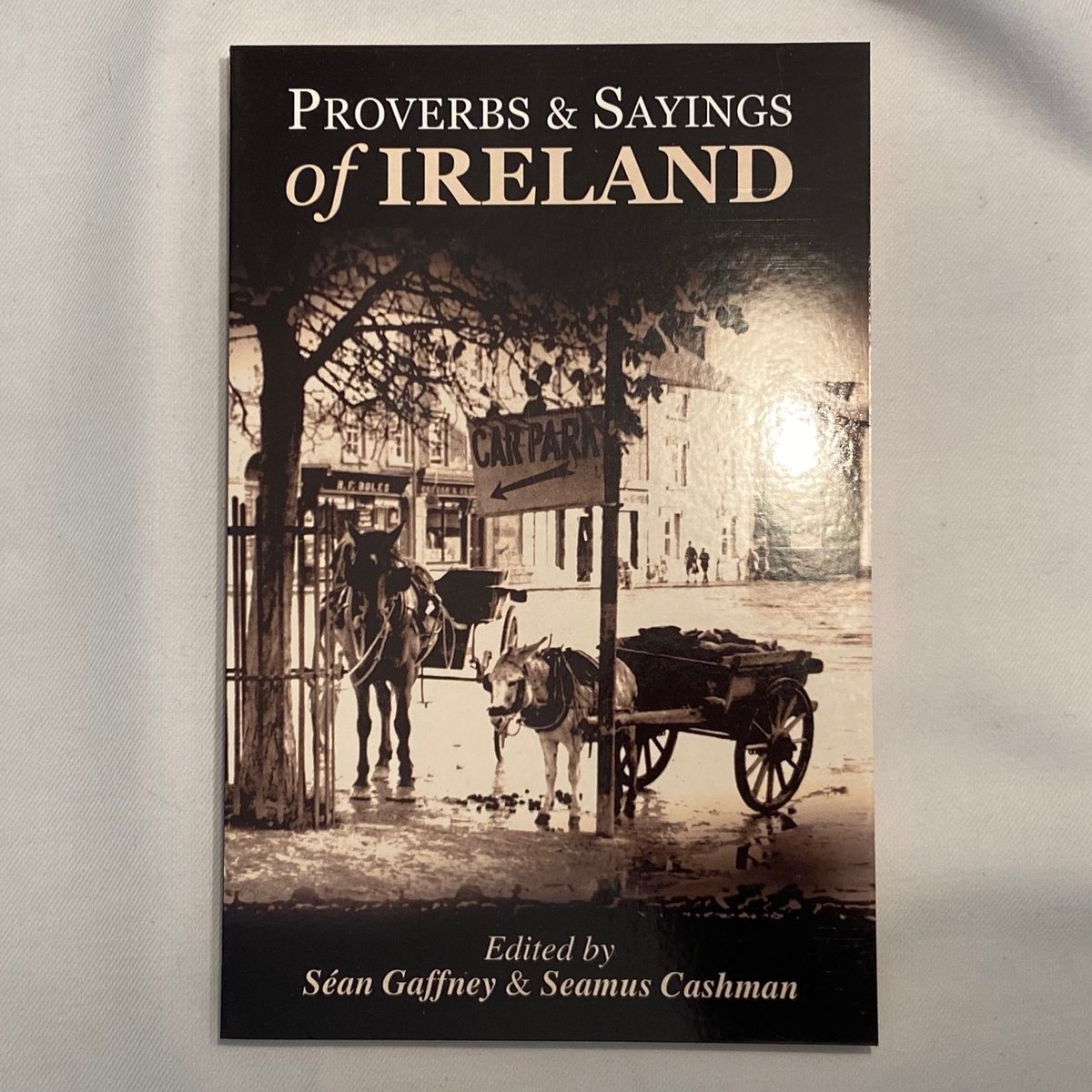 Image of Proverbs and Sayings of Ireland 