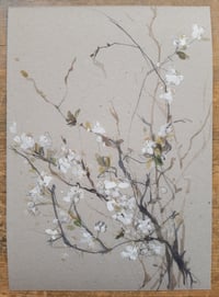 Image 1 of Spring branches ~ limited edition giclée print