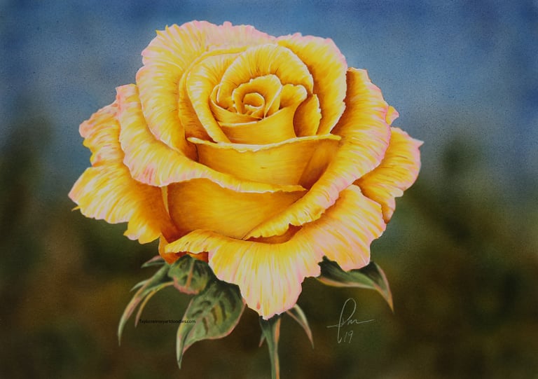 Yellow Rose