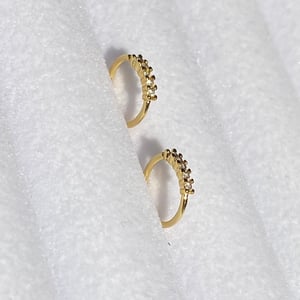Image of INARA Nose Rings 
