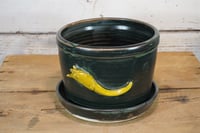 Image 1 of Dark Green Sluggy-Buggy Plant Pot