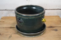 Image 2 of Dark Green Sluggy-Buggy Plant Pot