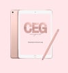 CEG Business Finance Log (Digital)