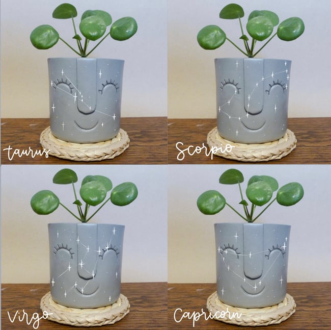 Star Sign Face Pot