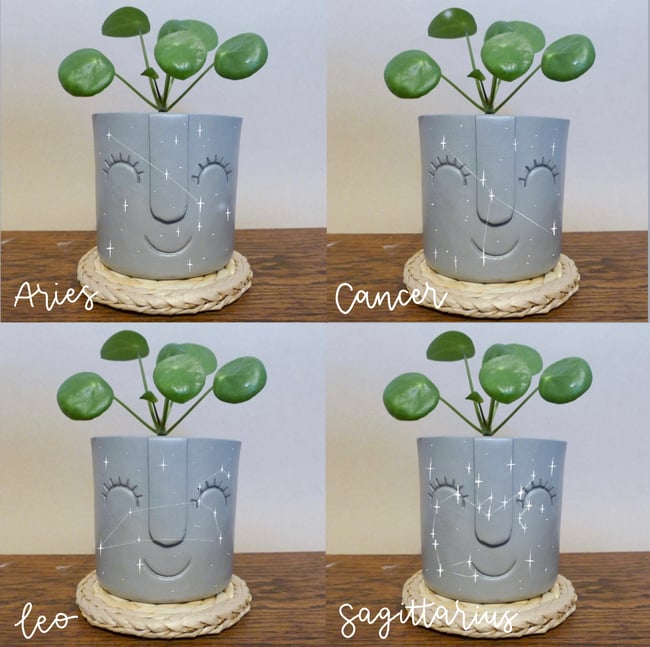 Star Sign Face Pot