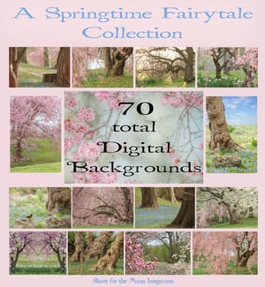 Image of A Springtime Fairytale Digital Background Collection