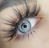 Taupe Gray Contacts 