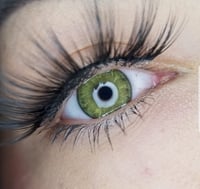 Image 1 of Avocado Contacts 🥑