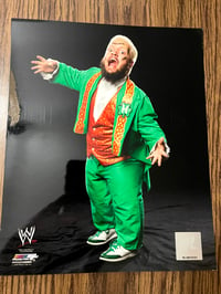 WWE Photofile Screaming