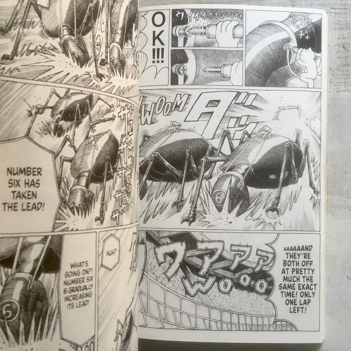 GLAEOLIA 2 (Eng Ed) - Glacier Bay Books