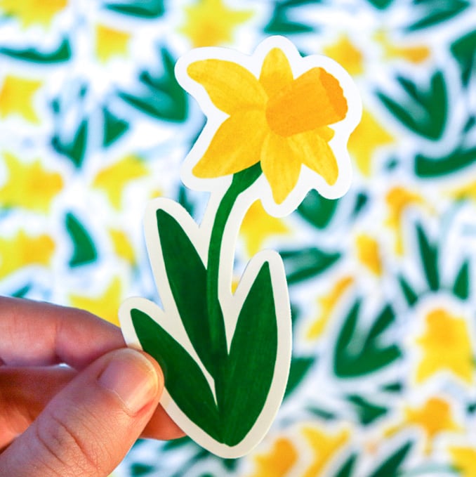 Daffodil - Vinyl Sticker
