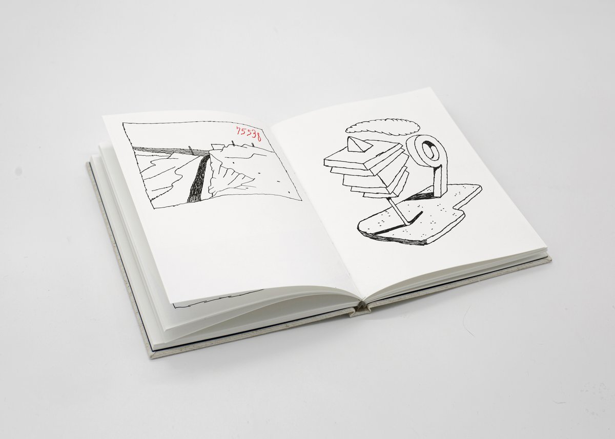 Image of ASINO CHI LEGGE + GATTO COSMICO